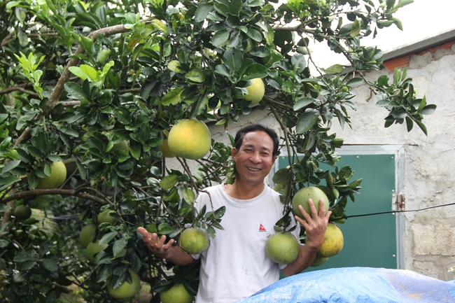 Nông dân Huyện Vĩnh Linh (Quảng Trị): Thành tỷ phú nhờ vốn vay Agribank  - Ảnh 3.