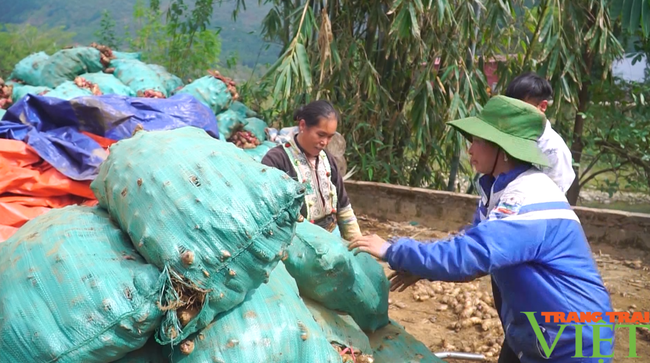 Nông dân Lai Châu liên kết xây dựng sản phẩm OCOP, gắn với xây dựng nông thôn mới - Ảnh 2.