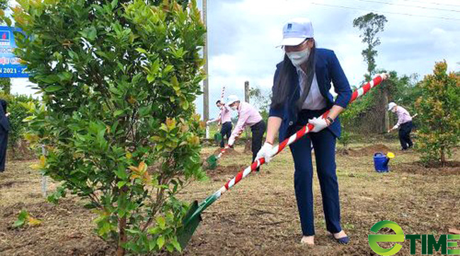 Quảng Ngãi đồng ý nhận 100.000 cây giống tài trợ thực hiện chương trình “ Quỹ trồng cây xanh” - Ảnh 5.