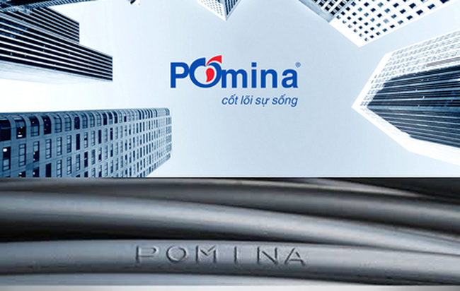 Thép Pomina nợ quá hạn hơn 3.000 tỷ đồng, bị nghi ngờ khả năng hoạt động liên tục - Ảnh 1.