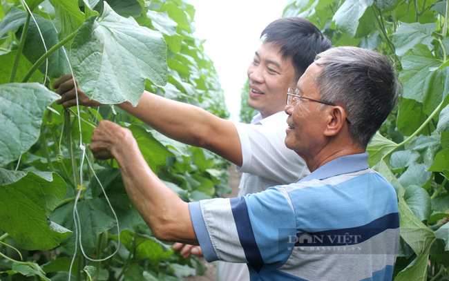 Họp báo Chương trình Tự hào Nông dân Việt Nam năm 2023 với chuỗi các sự kiện chính - Ảnh 3.