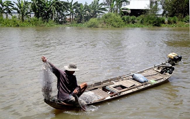 Mùa nước nổi An Giang, nước tràn đồng, rọi đèn pin thấy dân bắt được cá linh, cá mè vinh tươi rói - Ảnh 5.