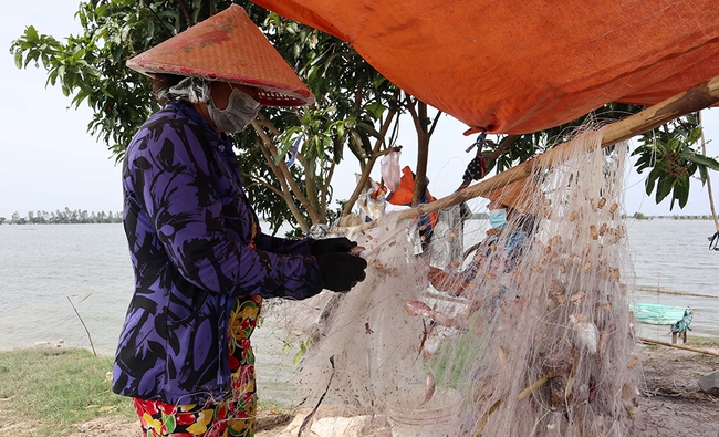 Mùa nước nổi An Giang, nước tràn đồng, rọi đèn pin thấy dân bắt được cá linh, cá mè vinh tươi rói - Ảnh 7.