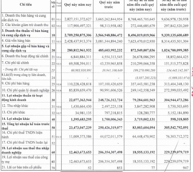 Không có nguồn thu từ Bất động sản, Dabaco (DBC) báo lãi quý III &quot;rơi&quot; 94% - Ảnh 1.