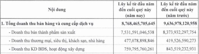 Không có nguồn thu từ Bất động sản, Dabaco (DBC) báo lãi quý III &quot;rơi&quot; 94% - Ảnh 3.