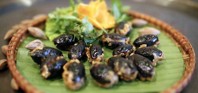 Quả này được ví là “vàng đen” chỉ có vào mùa thu, đem kho thịt ngon không tưởng, còn chữa được bệnh - Ảnh 2.