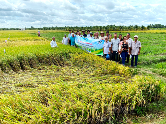 20 năm làm lúa giống, lãi tiền tỷ mỗi năm, chị nông dân Tiền Giang là nông dân Việt Nam xuất sắc 2023 - Ảnh 3.