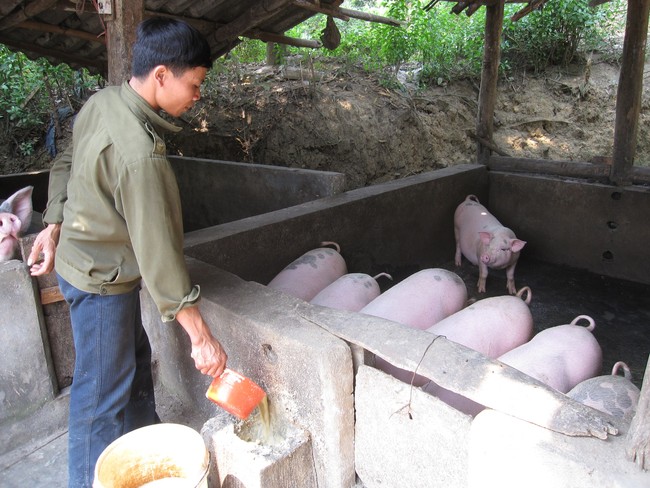 Lào Cai: Tìm giải pháo tháo gỡ khó khăn vướng mắc về tiến độ thực hiện 3 chương trình MTQG tại Bảo Yên - Ảnh 1.