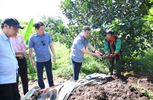 Chàng trai Pa Kô tiên phong làm nông nghiệp tuần hoàn - Ảnh 1.