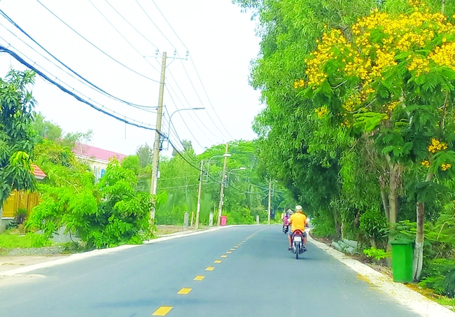 Cần Giờ đầu tư mạnh hạ tầng, nâng chất nông thôn mới - Ảnh 1.