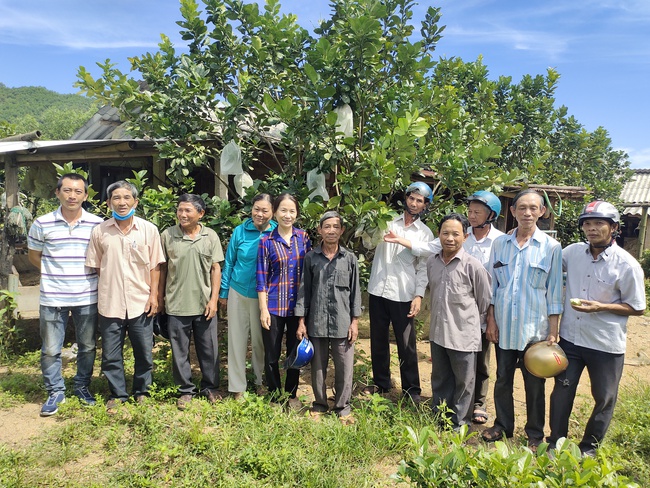 Phát huy vai trò hội viên trong phát triển kinh tế, giúp nhau làm giàu - Ảnh 1.