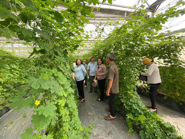 TP.HCM xây dựng NTM gắn với tái cơ cấu ngành nông nghiệp: Nông thôn khởi sắc, cư dân tăng thu nhập - Ảnh 1.