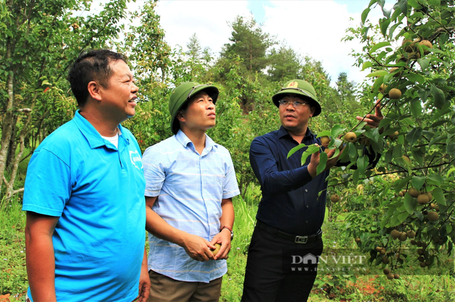 Yên Bái: Tập trung nguồn lực giảm nghèo bền vững - Ảnh 3.