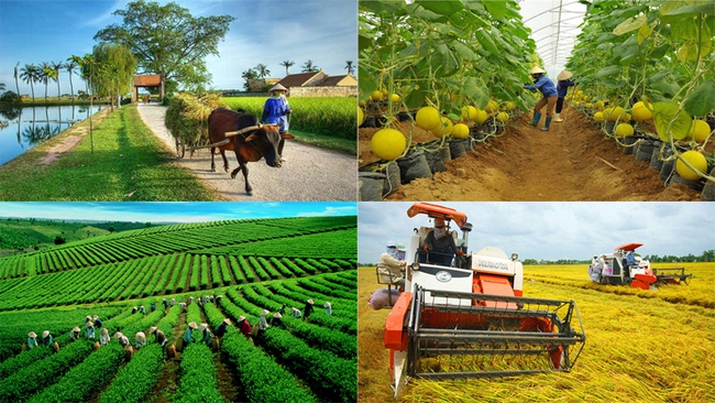 Hơn 1200 tác phẩm tham dự Giải báo chí toàn quốc viết về nông nghiệp, nông dân, nông thôn: Chất và lượng vượt mong đợi - Ảnh 2.