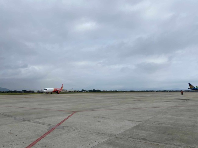 Huỷ hạ cách chuyến bay vì chó chạy vào sân bay Đà Nẵng - Ảnh 1.