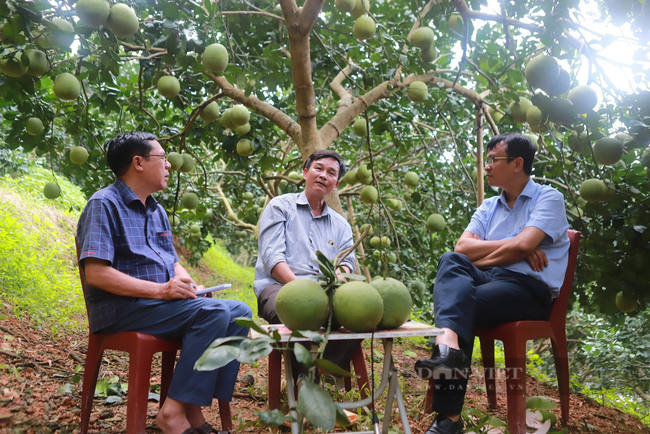 Chuyện về người nông dân xứ Tuyên từ đôi tay trắng, ở tận cùng khổ đau, vươn lên thành tỷ phú - Ảnh 9.