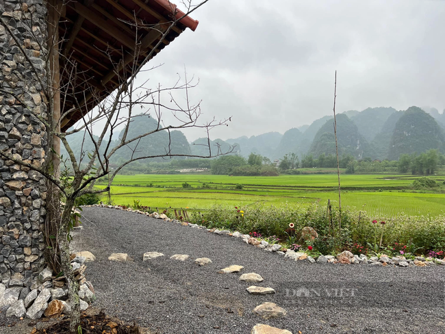 Cách Hà Nội 2 tiếng di chuyển, có một thảo nguyên rộng lớn, du khách đến là mê, chẳng muốn về! - Ảnh 15.