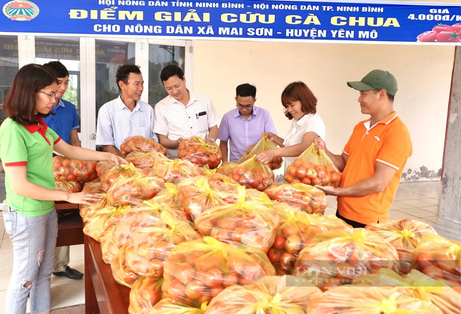 Hội Nông dân tỉnh Ninh Bình điểm sáng trong xây dựng chuỗi cửa hàng nông sản an toàn - Ảnh 4.