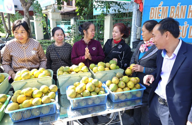 Ninh Bình: Giới thiệu, hỗ trợ tiêu thụ sản phẩm cam vàng Hà Giang - Ảnh 2.