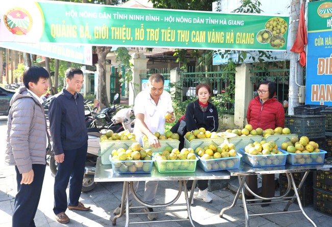 Hội Nông dân tỉnh Ninh Bình điểm sáng trong xây dựng chuỗi cửa hàng nông sản an toàn - Ảnh 11.