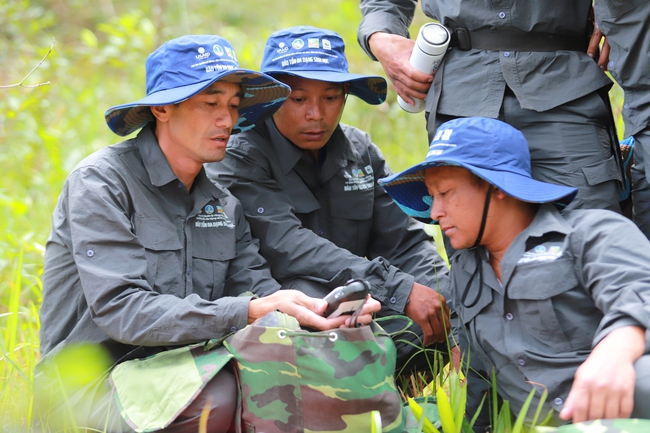 Chuyển đổi số ngành lâm nghiệp: Soi đến từng gốc cây, con vật... trong rừng - Ảnh 2.