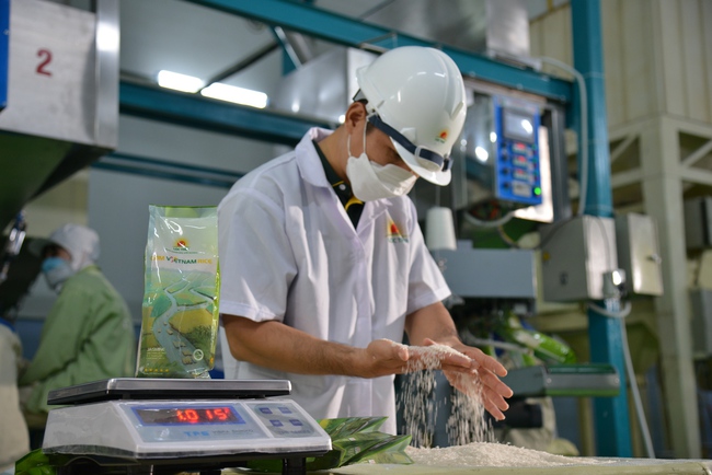 FMO muốn thu xếp gói tín dụng 90 triệu USD cho &quot;ông lớn&quot; ngành lúa gạo Việt Nam - Ảnh 3.