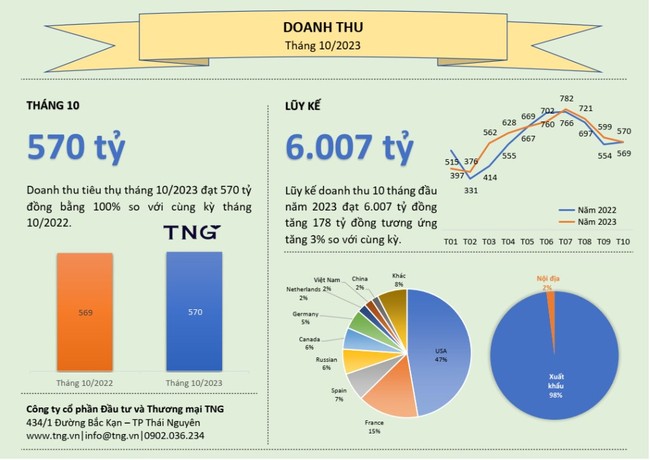 Đầu tư Thương mại TNG: Hoàn thành 88% kế hoạch doanh thu sau 10 tháng - Ảnh 1.