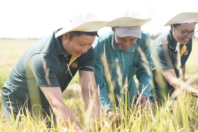 FMO muốn thu xếp gói tín dụng 90 triệu USD cho &quot;ông lớn&quot; ngành lúa gạo Việt Nam - Ảnh 2.