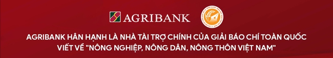 Cam Vinh, từ cây tỷ phú đến cây... vỡ nợ: Hóa giải nguyên nhân cam &quot;đột tử&quot; và giấc mơ mới (Bài 2) - Ảnh 18.