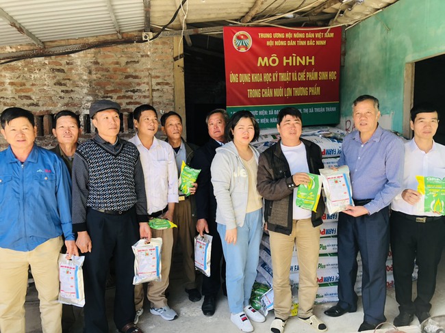 Nuôi lợn ứng dụng chế phẩm sinh học ở Bắc Ninh: Kỳ vọng hiệu quả cao, nhân rộng mô hình - Ảnh 1.