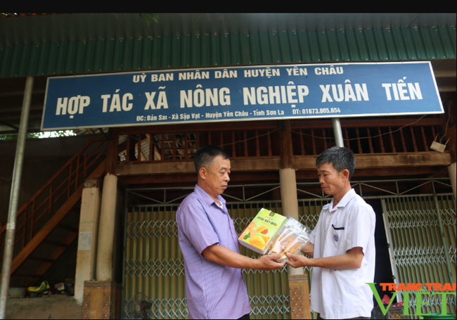 HTX đóng góp để nâng tầm nông sản Sơn La - Ảnh 4.