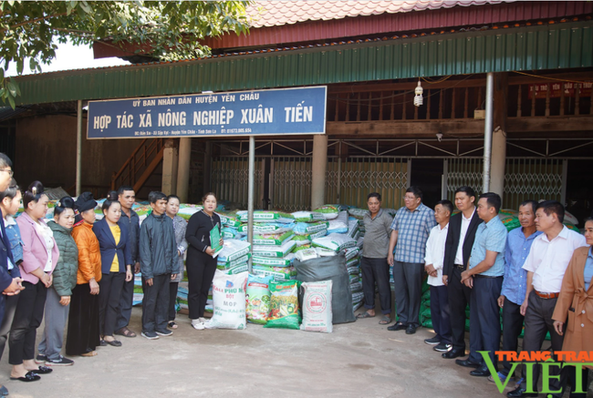 Hội Nông dân Sơn La đồng hành cùng nông dân trong kết nối, tiêu thụ nông sản - Ảnh 3.