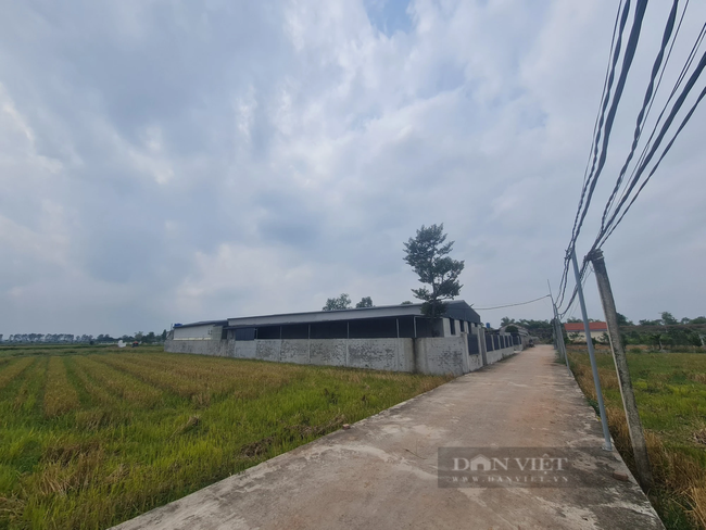 Nhà xưởng rộng hàng nghìn m2 xây trái phép giữa cánh đồng ở Thái Bình - Ảnh 1.