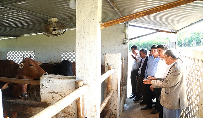 Một huyện ở TT-Huế hợp tác với Tập đoàn Quế Lâm phát triển nông nghiệp hữu cơ, kinh tế tuần hoàn - Ảnh 2.