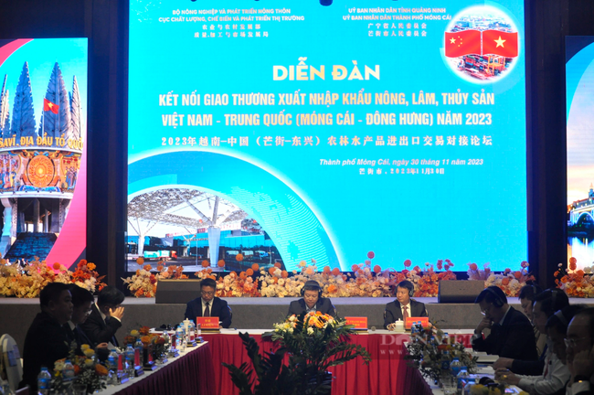 Tăng cường kết nối giao thương xuất nhập khẩu nông, lâm, thủy sản Việt Nam - Trung Quốc - Ảnh 16.