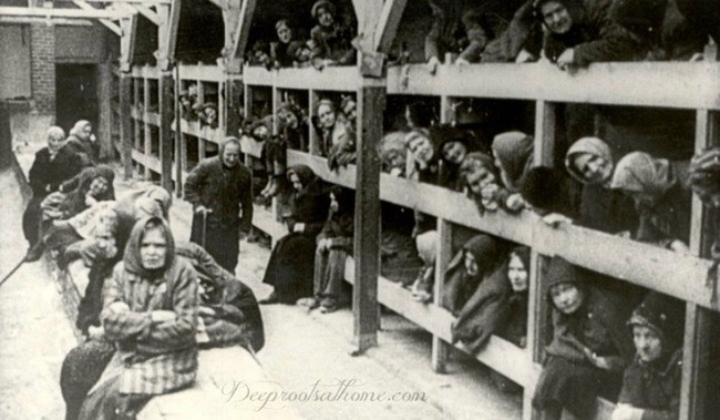 Sự thật chấn động chưa tiết lộ về thảm họa diệt chủng Holocaust - Ảnh 2.