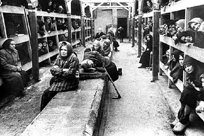 Sự thật chấn động chưa tiết lộ về thảm họa diệt chủng Holocaust - Ảnh 10.