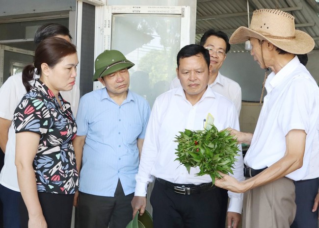 Giám đốc Trung tâm Khuyến nông Hà Nội: Chuyển đổi số - “chìa khóa” cho nông nghiệp bứt phá - Ảnh 2.