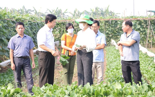 Giám đốc Trung tâm Khuyến nông Hà Nội: Chuyển đổi số - “chìa khóa” cho nông nghiệp bứt phá - Ảnh 3.