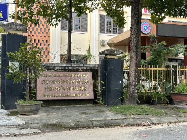 Đề nghị xử lý Cục trưởng Cục Thi hành án dân sự tỉnh Thừa Thiên Huế vì có nhiều vi phạm  - Ảnh 1.