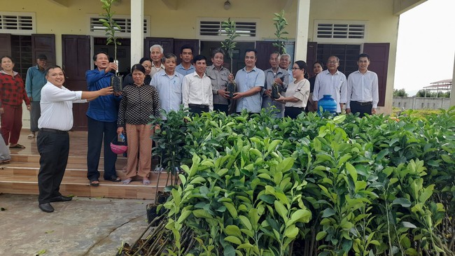 Hội Nông dân tỉnh Thừa Thiên Huế hỗ trợ cây giống bưởi da xanh cho hội viên  - Ảnh 1.