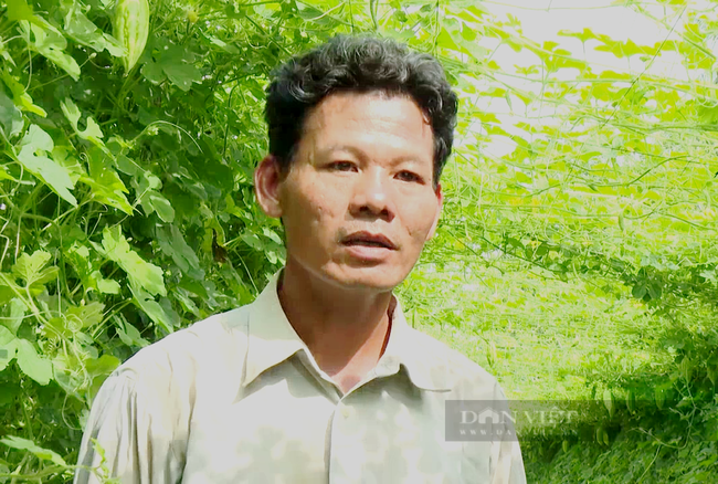 Vay vốn trồng loại trái ăn đắng nghét tưởng ôm nợ, hóa ra anh nông dân Tây Ninh đút túi 300 triệu mỗi năm - Ảnh 3.