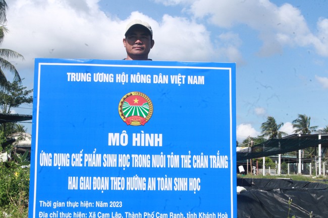 Mô hình ứng dụng chế phẩm sinh học trong nuôi tôm thẻ chân trắng: Trao niềm vui, tiếp động lực cho ngư dân Khánh Hòa - Ảnh 5.