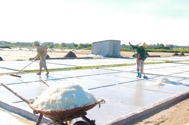 Vực dậy ngành muối: “Vàng trắng” phơi cát xuất ngoại (Bài 2)- Ảnh 1.