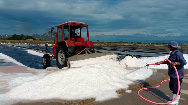 Vực dậy ngành muối: Về nơi hạt muối là… hạt vàng (Bài 3)- Ảnh 1.