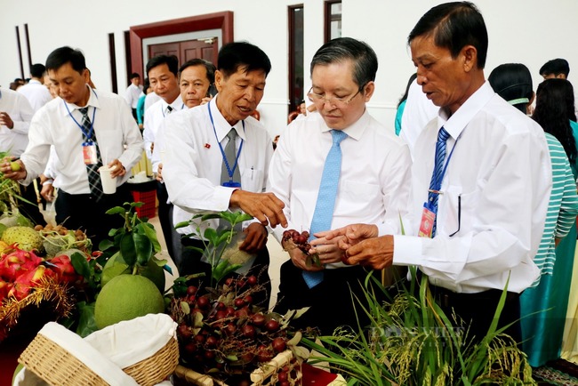 Dấu ấn thực hiện Nghị quyết Đại hội VII Hội Nông dân Việt Nam: Xây dựng thế hệ nông dân  mới- Ảnh 1.