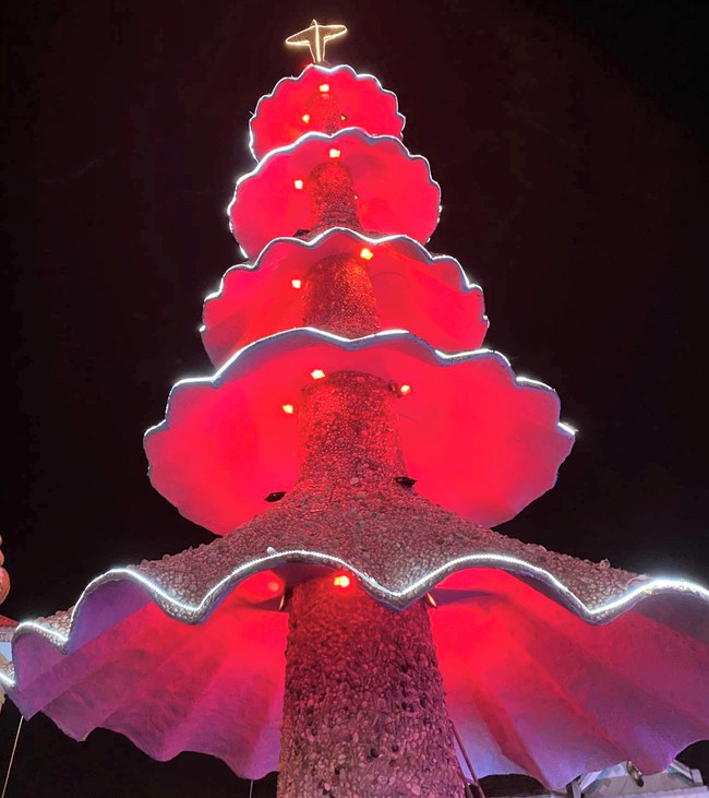 Cây thông Noel làm từ hàng triệu vỏ các loài nhuyễn thể ở Nghệ An được công nhận kỷ lục Việt Nam - Ảnh 5.