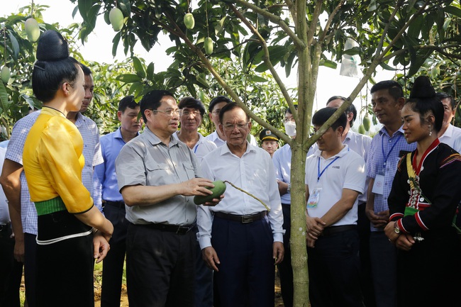 Ngày mai (30/12), Thủ tướng Chính phủ sẽ đối thoại với nông dân: Đồng hành cũng nông dân phát triển kinh tế xanh, bền vững - Ảnh 1.