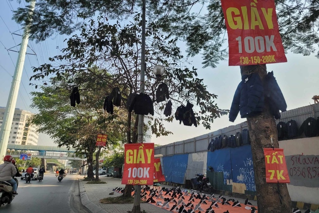 Chuyện lạ ở Hà Nội: Treo quần áo lên cây để bán hàng - Ảnh 1.
