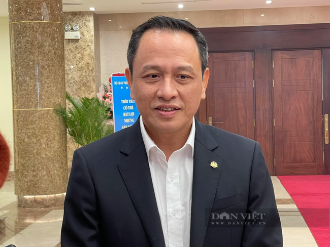 CEO Lê Hồng Hà: Vietnam Airlines có báo cáo cổ phiếu HVN xem xét nhân người của Bamboo Airways - Ảnh 1.